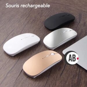 SOURIS RECHARGEABLE